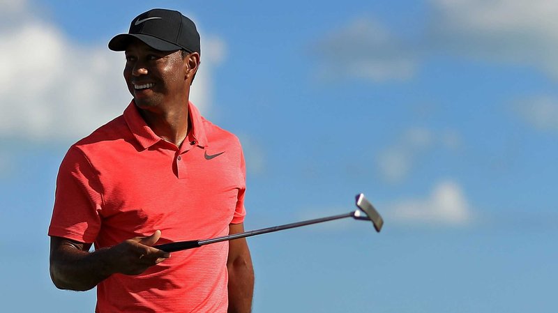 tiger woods pga tour 08 msstdfmt.dll tiger woods pga tour 08 msstdfmt.dll