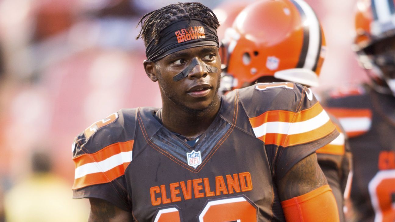 Josh Gordon, NFL
