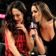 The evolution of Nikki and Brie Bella in WWE