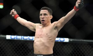 UFC 233 will not take place in January 2019