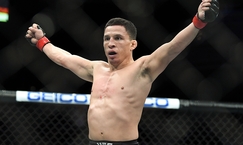 UFC 233 will not take place in January 2019