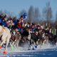 Iditarod Sled Dog Race From Alaska is leaving