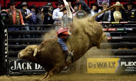 Professional bull rider dies as the bull stomped on his chest