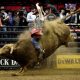 Professional bull rider dies as the bull stomped on his chest